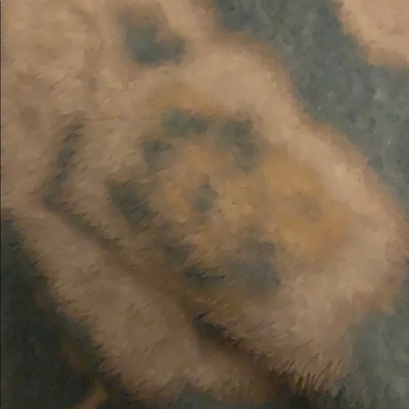 Meet your Posher, Justin - Picture 1 of 1